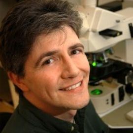Dr. Matthew Breen Headshot