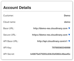 Account Details Sample